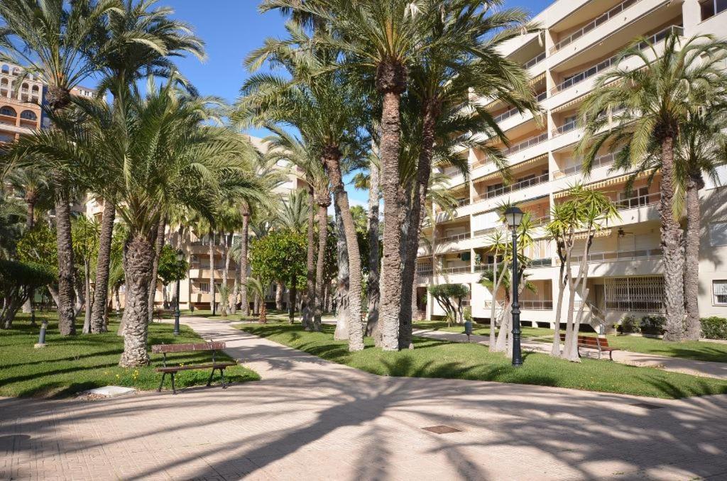 Sweet Home El Palmeral Los Locos Beach Torrevieja Eksteriør billede